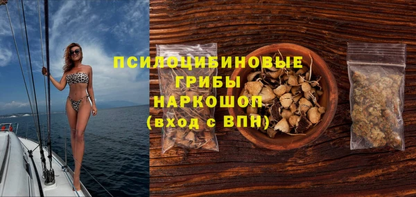 ГАЛЛЮЦИНОГЕННЫЕ ГРИБЫ Арсеньев