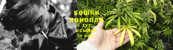 ГАЛЛЮЦИНОГЕННЫЕ ГРИБЫ Арсеньев