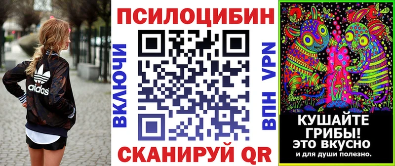 mega маркетплейс  Талица  нарко площадка формула  Галлюциногенные грибы Psilocybine cubensis 